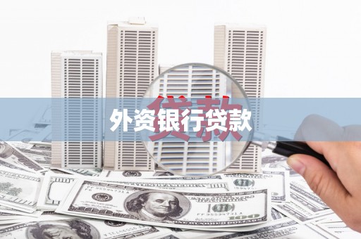 仙游外资银行贷款