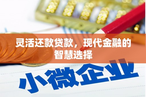 仙游灵活还款贷款，现代金融的智慧选择