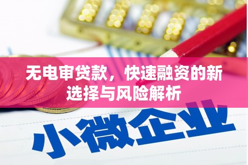 仙游无电审贷款，快速融资的新选择与风险解析