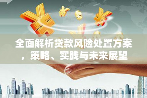 仙游全面解析贷款风险处置方案，策略、实践与未来展望
