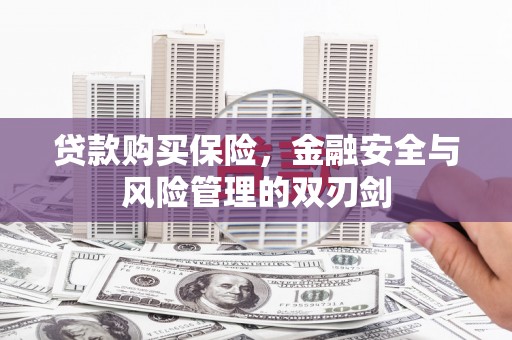 仙游贷款购买保险，金融安全与风险管理的双刃剑