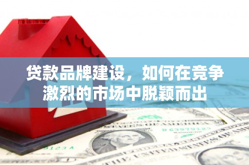 仙游贷款品牌建设，如何在竞争激烈的市场中脱颖而出