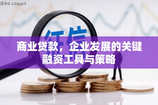 仙游商业贷款，企业发展的关键融资工具与策略