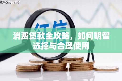 仙游消费贷款全攻略，如何明智选择与合理使用