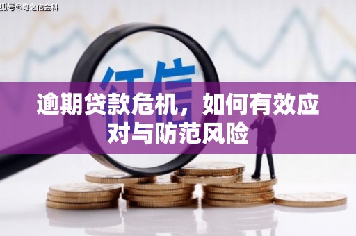 仙游逾期贷款危机，如何有效应对与防范风险