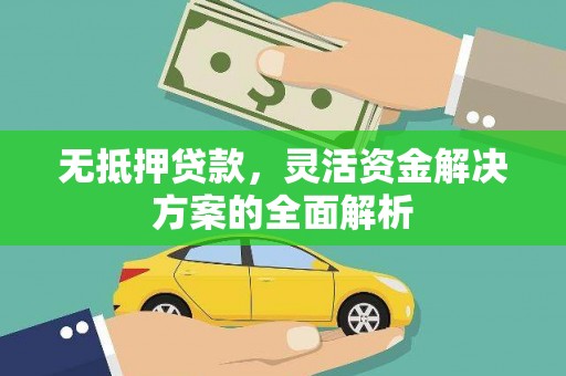 仙游无抵押贷款，灵活资金解决方案的全面解析