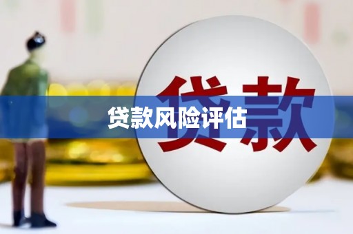 仙游贷款风险评估