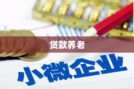 仙游贷款养老