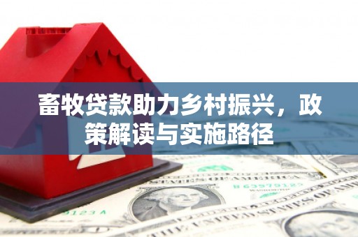 仙游畜牧贷款助力乡村振兴，政策解读与实施路径