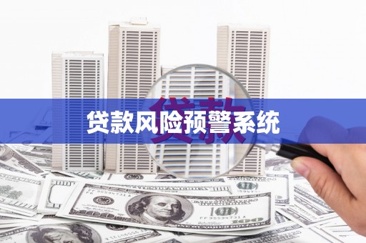 仙游贷款风险预警系统