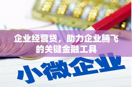 仙游企业经营贷，助力企业腾飞的关键金融工具