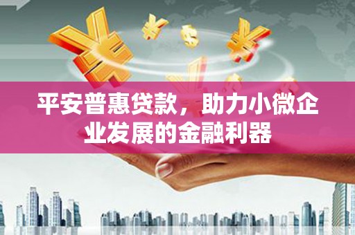 仙游平安普惠贷款，助力小微企业发展的金融利器