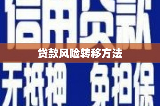 仙游贷款风险转移方法