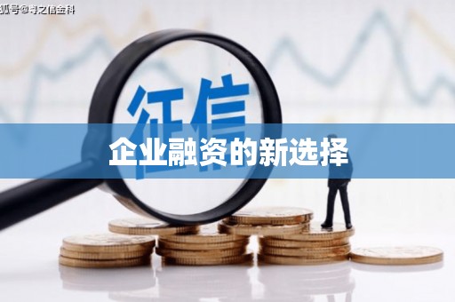 仙游企业融资的新选择