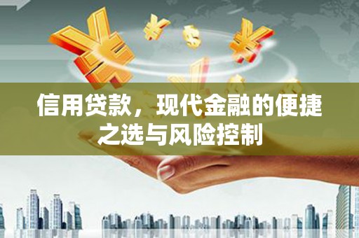 仙游信用贷款，现代金融的便捷之选与风险控制