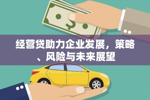 仙游经营贷助力企业发展，策略、风险与未来展望