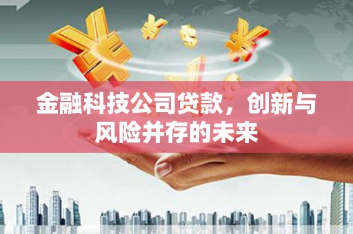 仙游金融科技公司贷款，创新与风险并存的未来