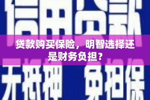 仙游贷款购买保险，明智选择还是财务负担？