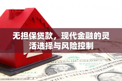 仙游无担保贷款，现代金融的灵活选择与风险控制