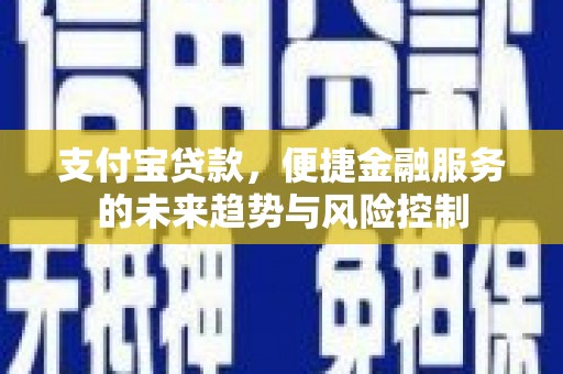 仙游支付宝贷款，便捷金融服务的未来趋势与风险控制