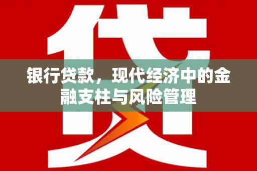 仙游银行贷款，现代经济中的金融支柱与风险管理