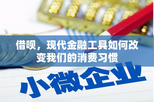 仙游借呗，现代金融工具如何改变我们的消费习惯