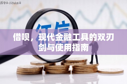 仙游借呗，现代金融工具的双刃剑与使用指南