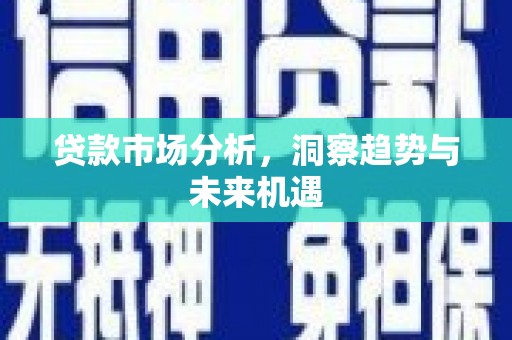 仙游贷款市场分析，洞察趋势与未来机遇