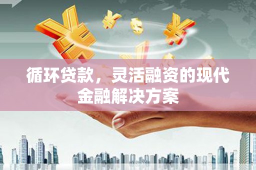 仙游循环贷款，灵活融资的现代金融解决方案