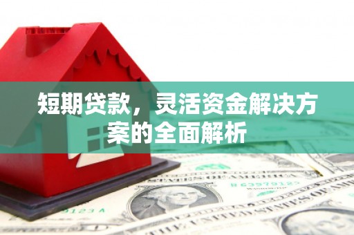 仙游短期贷款，灵活资金解决方案的全面解析