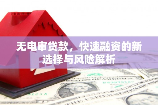 仙游无电审贷款，快速融资的新选择与风险解析