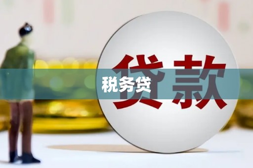 仙游税务贷