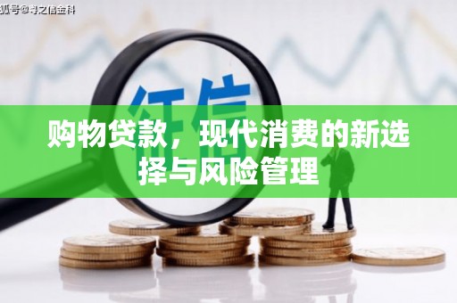 仙游购物贷款，现代消费的新选择与风险管理