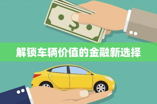 仙游解锁车辆价值的金融新选择