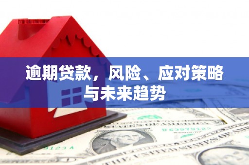 仙游逾期贷款，风险、应对策略与未来趋势