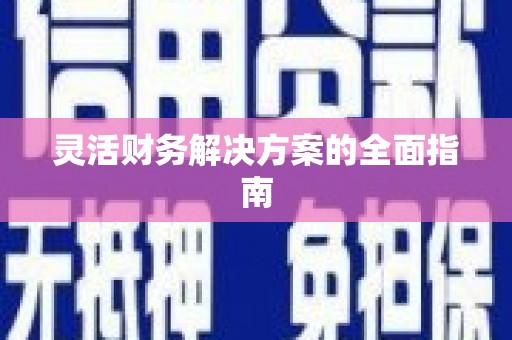 仙游灵活财务解决方案的全面指南