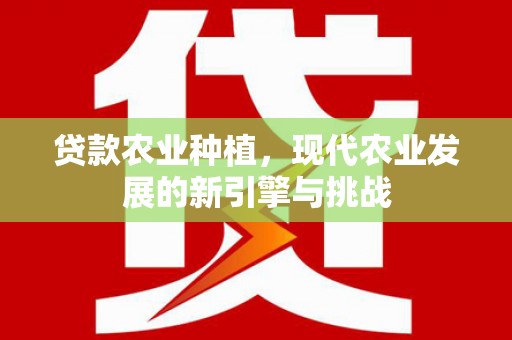 仙游贷款农业种植，现代农业发展的新引擎与挑战