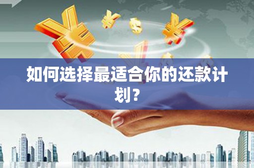 仙游如何选择最适合你的还款计划？