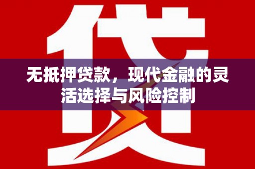 仙游无抵押贷款，现代金融的灵活选择与风险控制