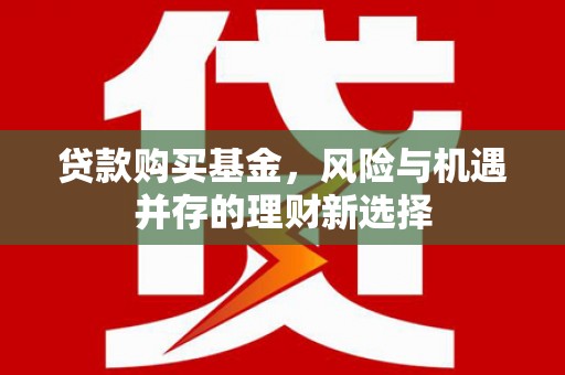 仙游贷款购买基金，风险与机遇并存的理财新选择