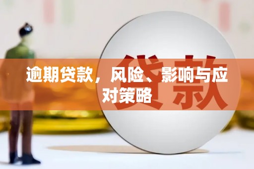仙游逾期贷款，风险、影响与应对策略