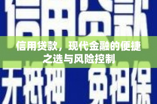 仙游信用贷款，现代金融的便捷之选与风险控制