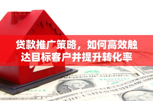 仙游贷款推广策略，如何高效触达目标客户并提升转化率