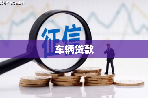 仙游车辆贷款
