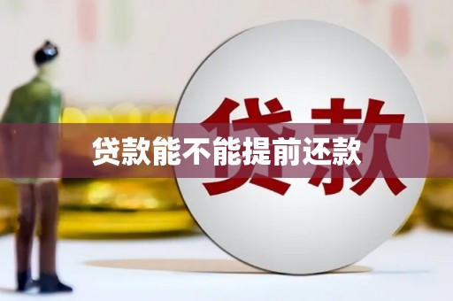 仙游贷款能不能提前还款