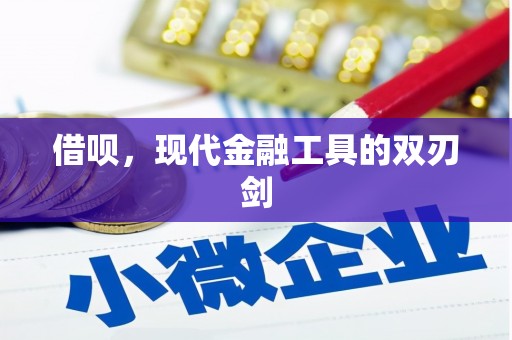 仙游借呗，现代金融工具的双刃剑