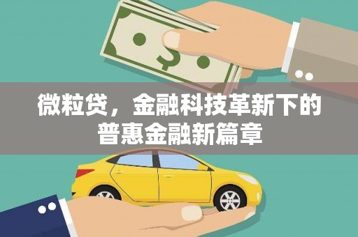 仙游微粒贷，金融科技革新下的普惠金融新篇章
