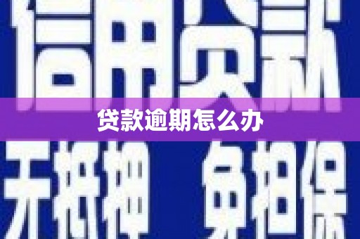 仙游贷款逾期怎么办