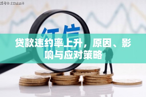 仙游贷款违约率上升，原因、影响与应对策略