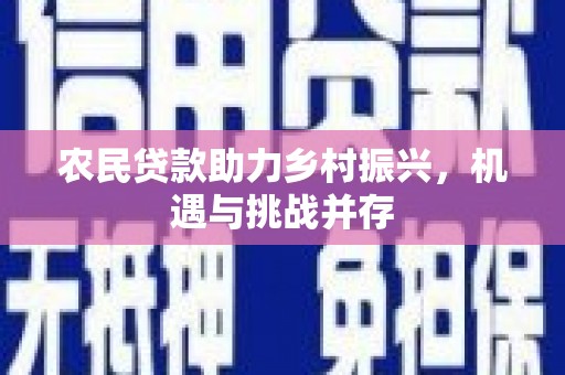 仙游农民贷款助力乡村振兴，机遇与挑战并存